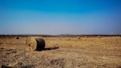 كاكادو كازينو تطبيق الهاتف المحمول